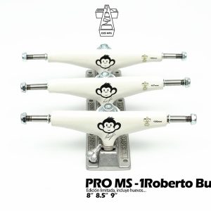 PRO ROBERTO BUENO copia